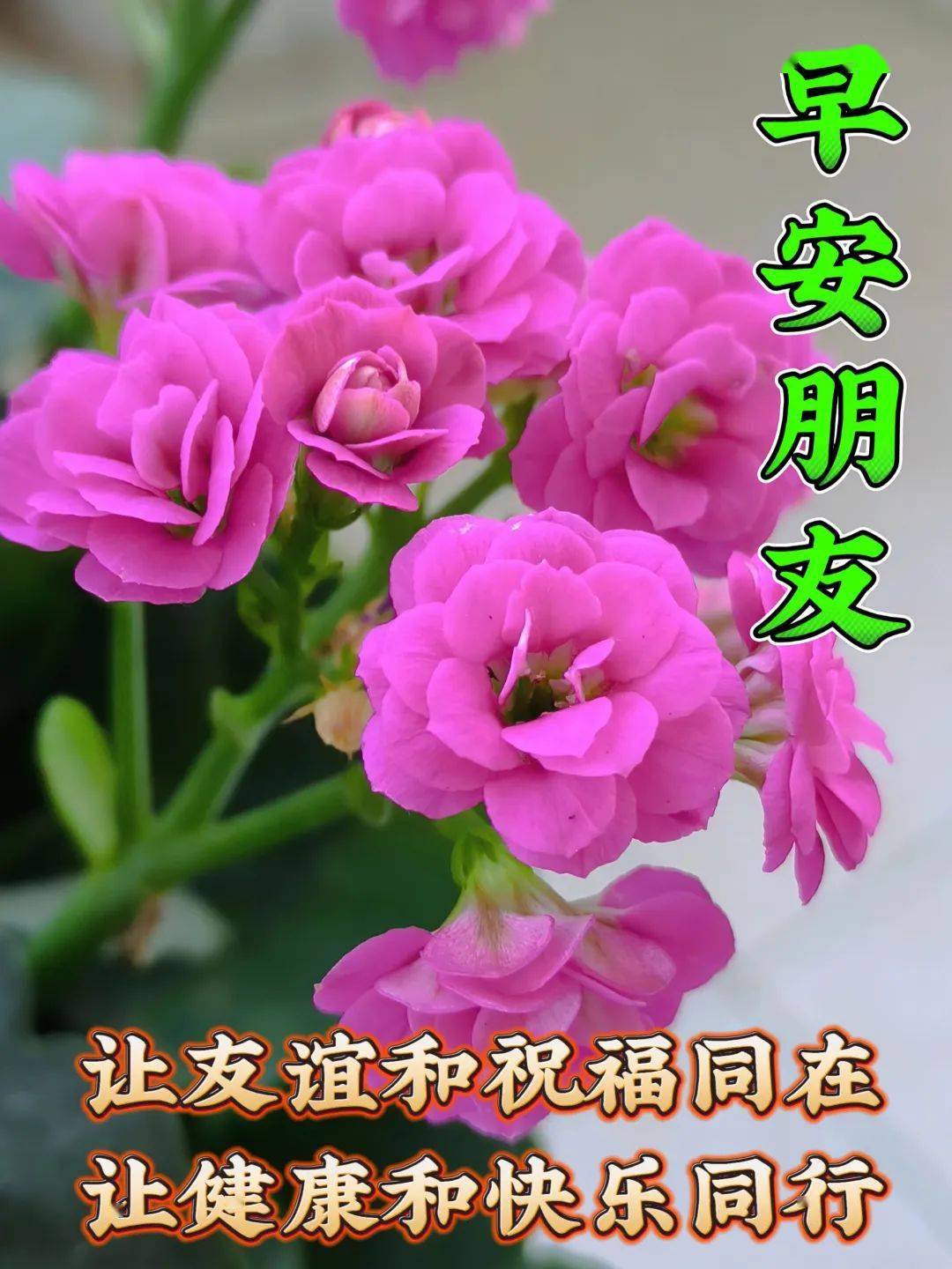 最新早上好漂亮圖片祝福,快快樂樂福自來_生活_問候_陽光