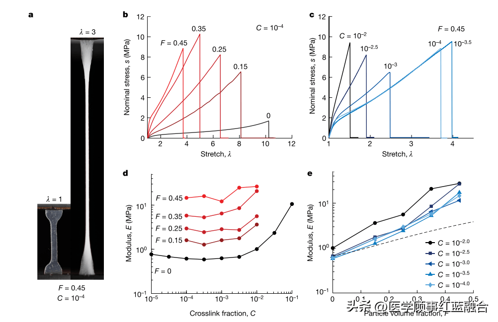 nature:多尺度應力分散來放大顆粒增強橡膠的疲勞閾值_聚合物_材料_研