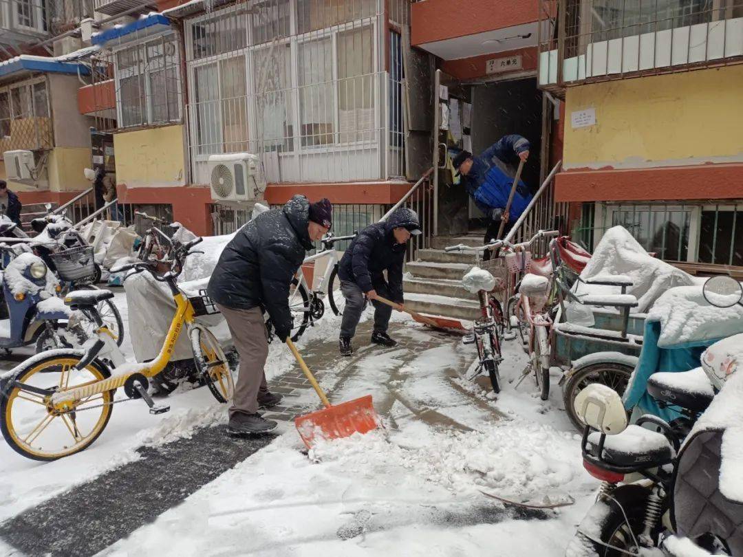 看,他們在雪中