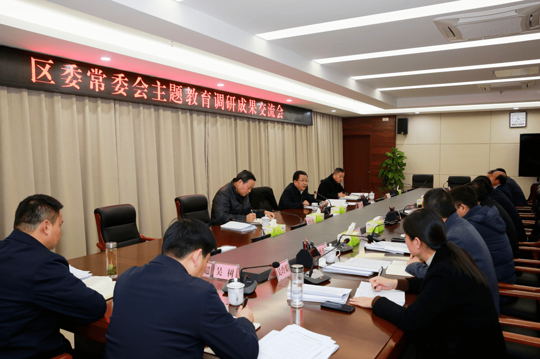 丁纯参加指导义安区委常委会主题教育调研成果交流会_发展_问题_项目