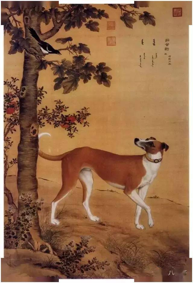郎世宁《十骏犬图之七 茹黄豹》郎世宁《十骏图之自在驈》《花鸟图》