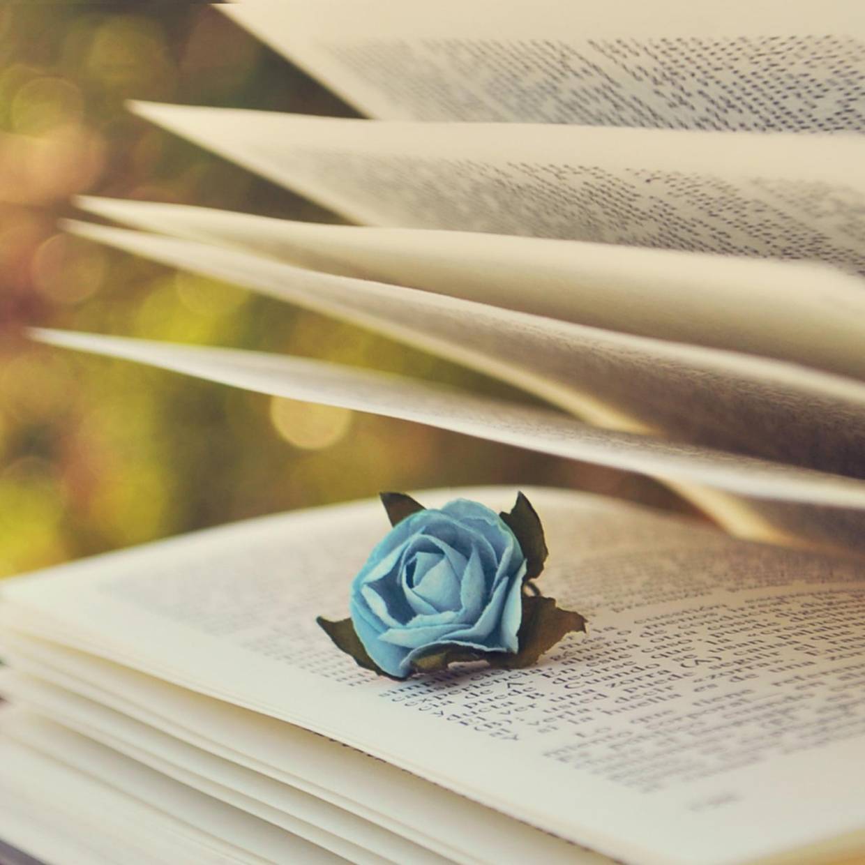 各省经济高质量发展水平数据+stata代码（2011-2024年）_统计_topsis_算法