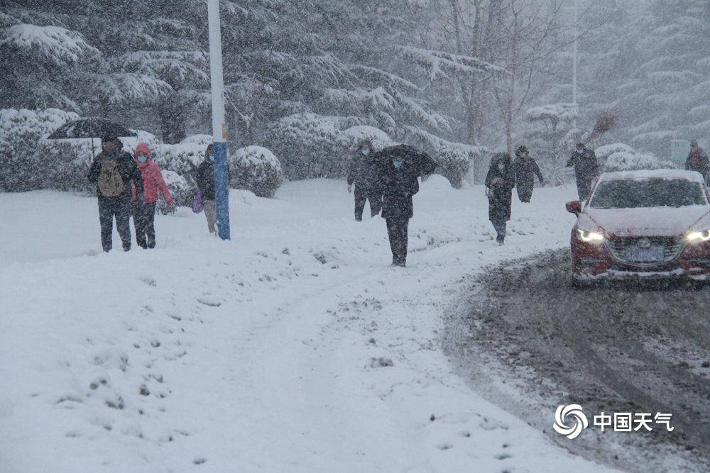 威海大雪预警图片