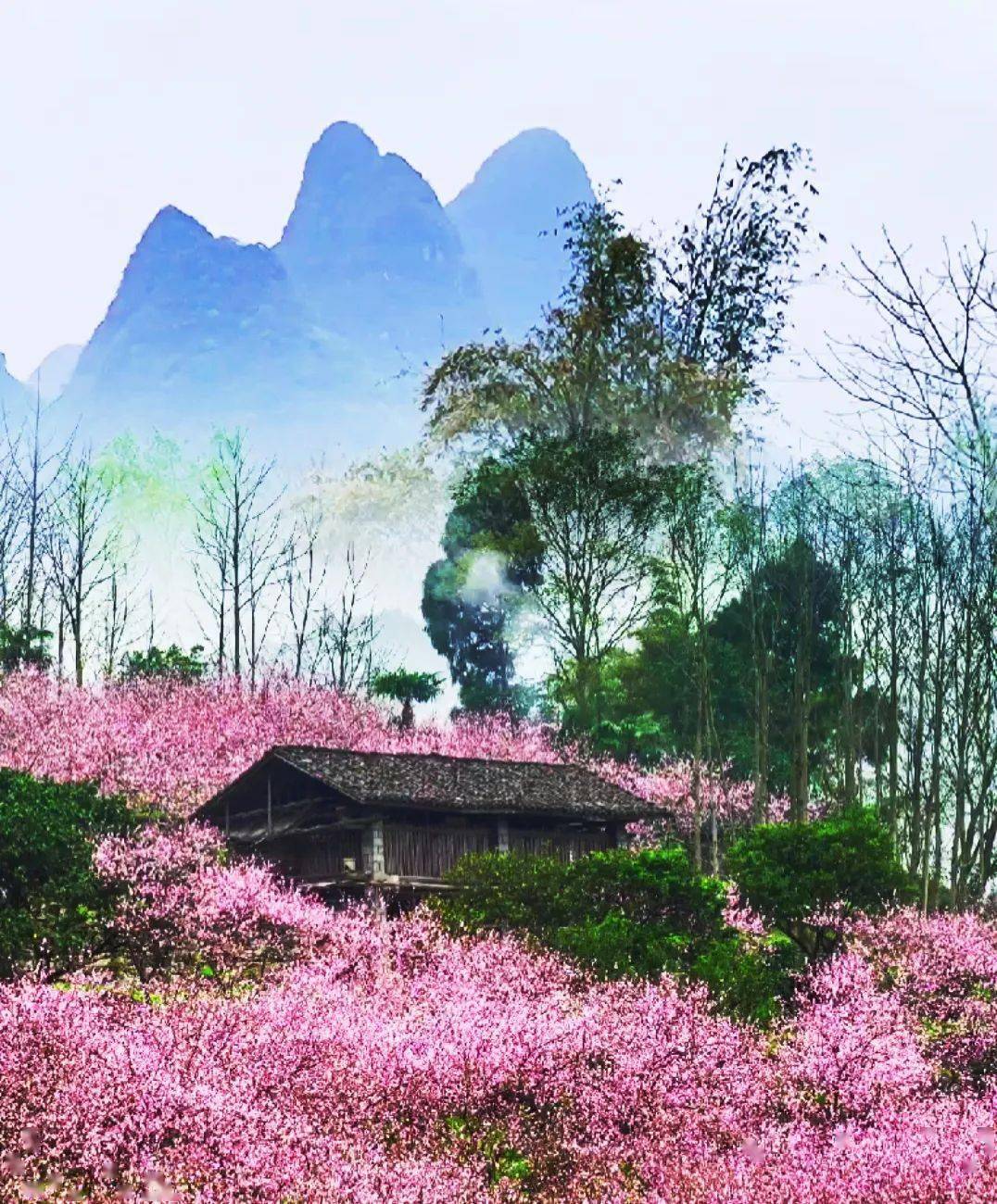 云端超市61第657期┃"别人笑我太疯癫,我笑别人看不穿"——唐伯虎的