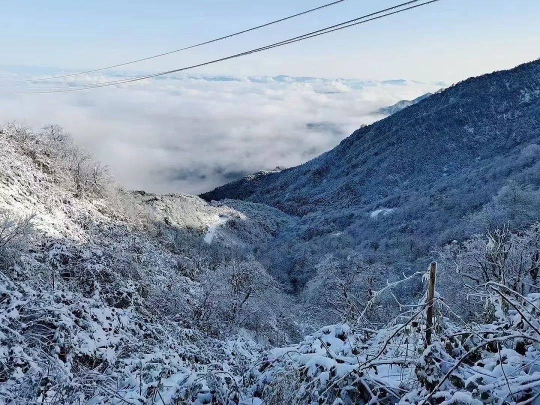 宜宾屏山五指山大酒店图片