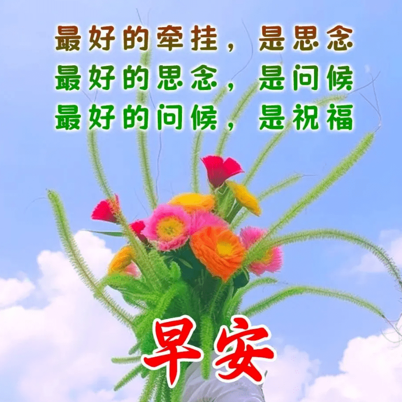 今日最新早上好表情图片大全,笑在生活中,活在快乐中!