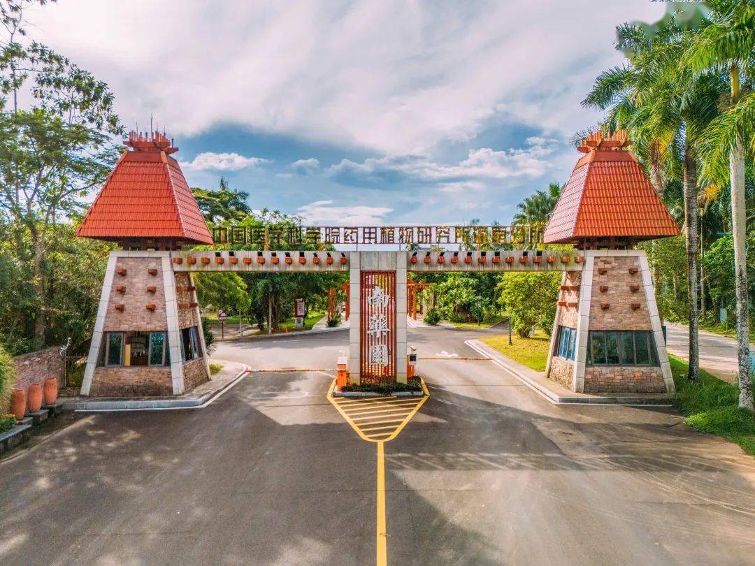万宁兴隆南药园入选海南省第一批中医药健康旅游基地_文化_植物园