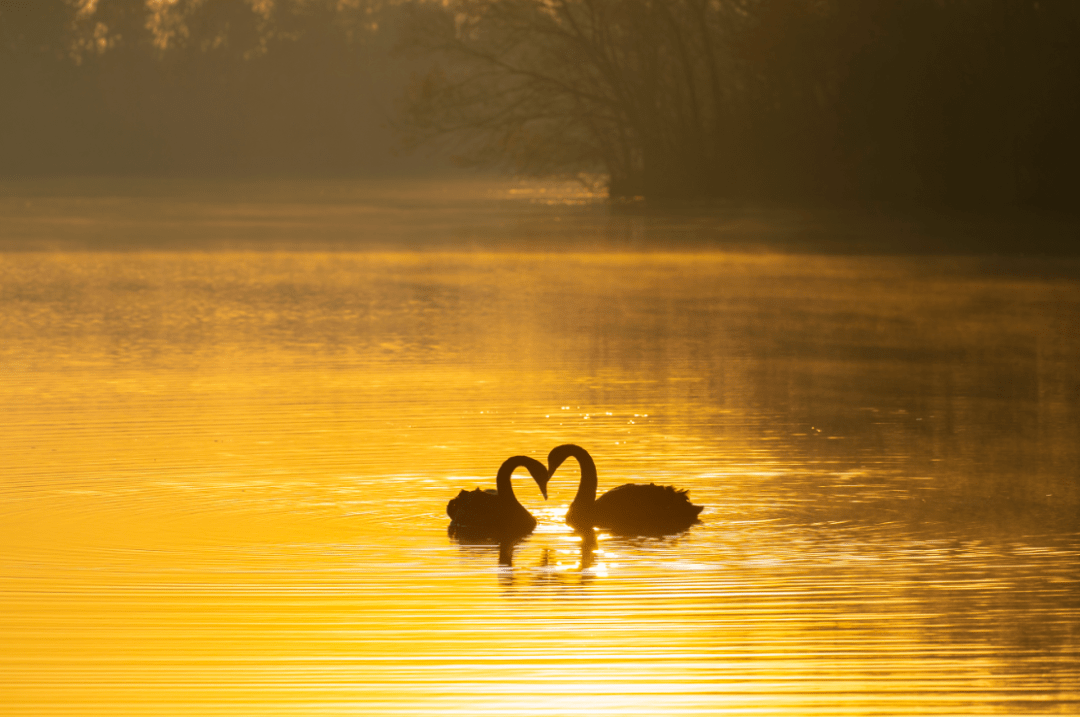 那就来宿迁骆马湖国家级旅游度假区"窝冬"吧→_冬日_时光_生活