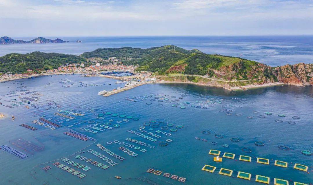 将以现代化海洋牧场建设带动海洋食品,海洋装备等发展,由"一条鱼"牵出