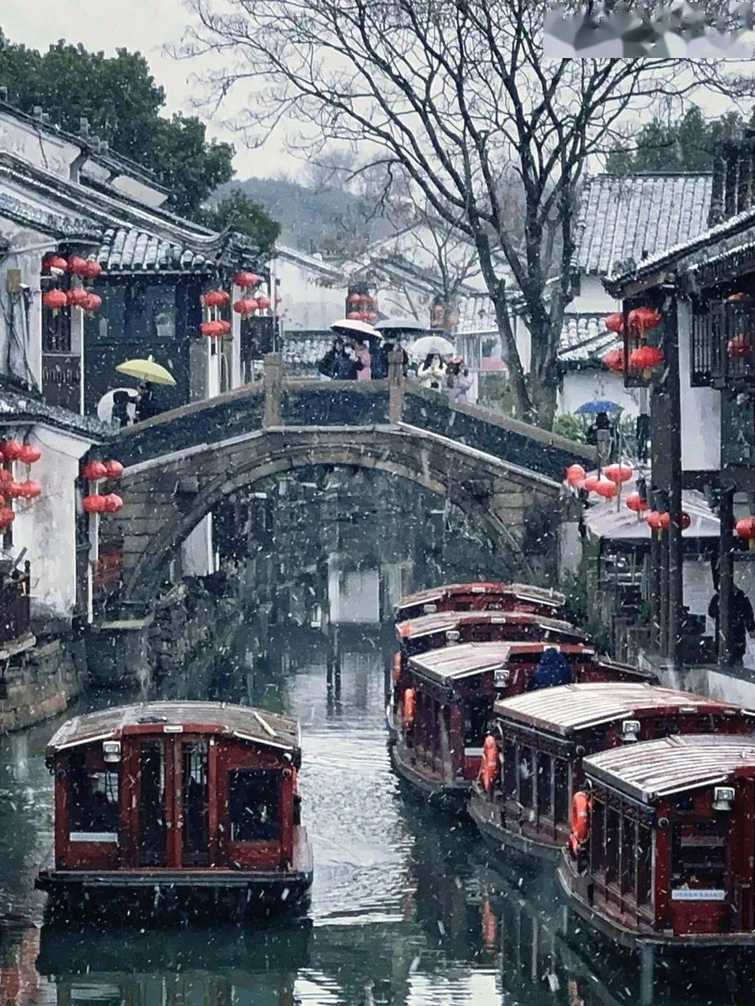 你等的苏州雪景新片,来了!_姑苏_审美_有情