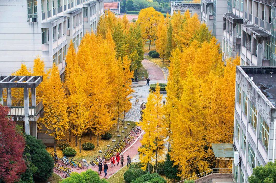 一个回眸,秋天就成了风景_冬日_力量_浙江财经大学