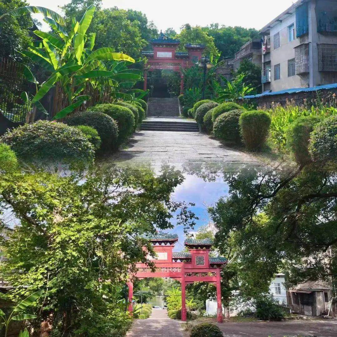 芭蕉林環繞的綠天庵,大門緊閉,門匾上四個飄逸的狂草字,彰顯這座古寺