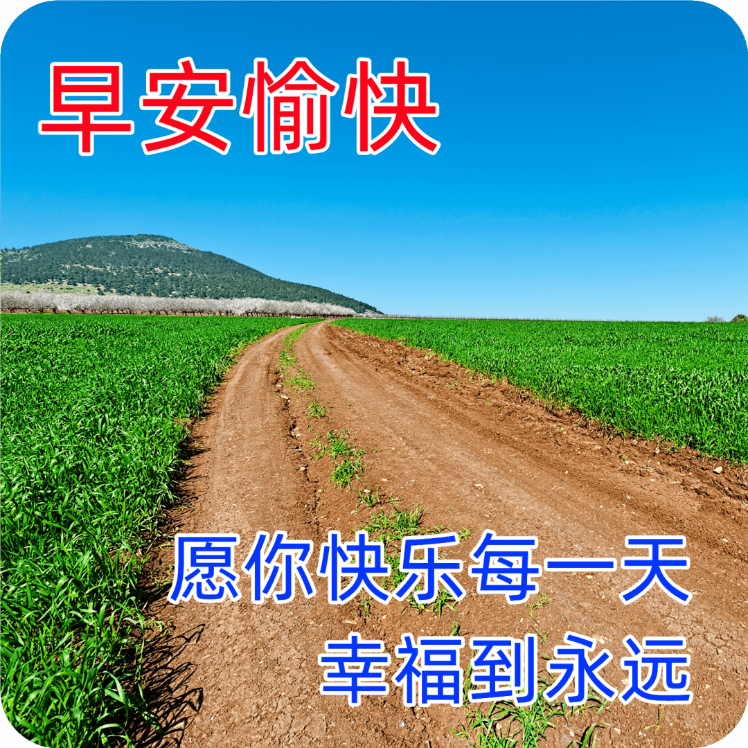 今日最新早安早上好精选,精选早安暖心祝福图片带字带