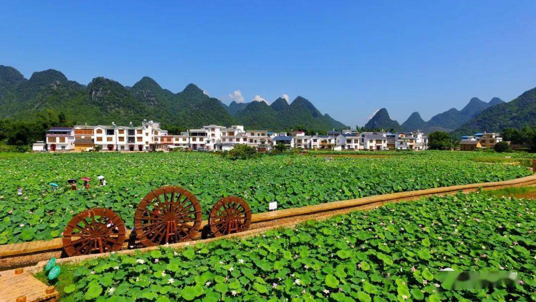 67广西鹿寨县:"诗和远方"也有"数字生产力"_垃圾_鹿寨镇_环境