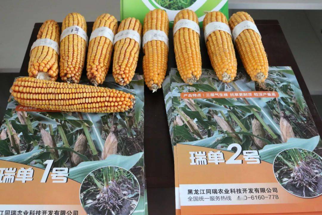 目前,沾林农业分公司销售产品包括倍丰,云天化,嘉士利,俄罗斯钾肥