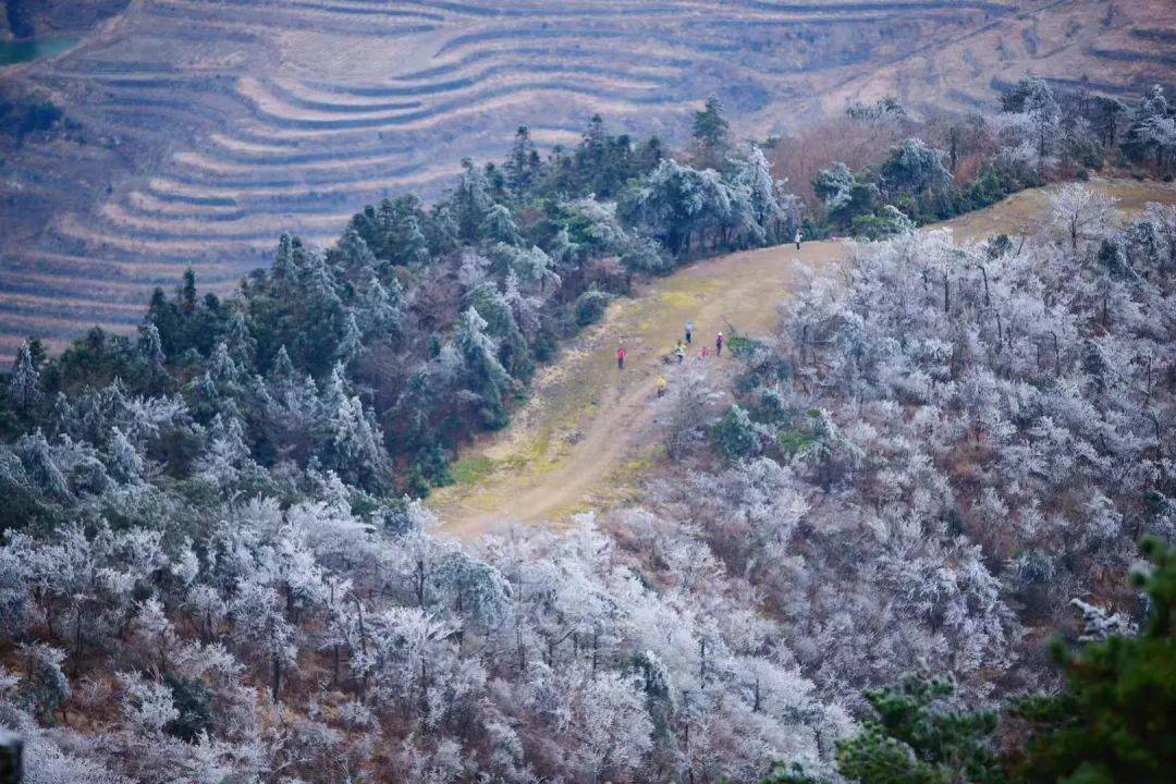 天台大雷山景区图片