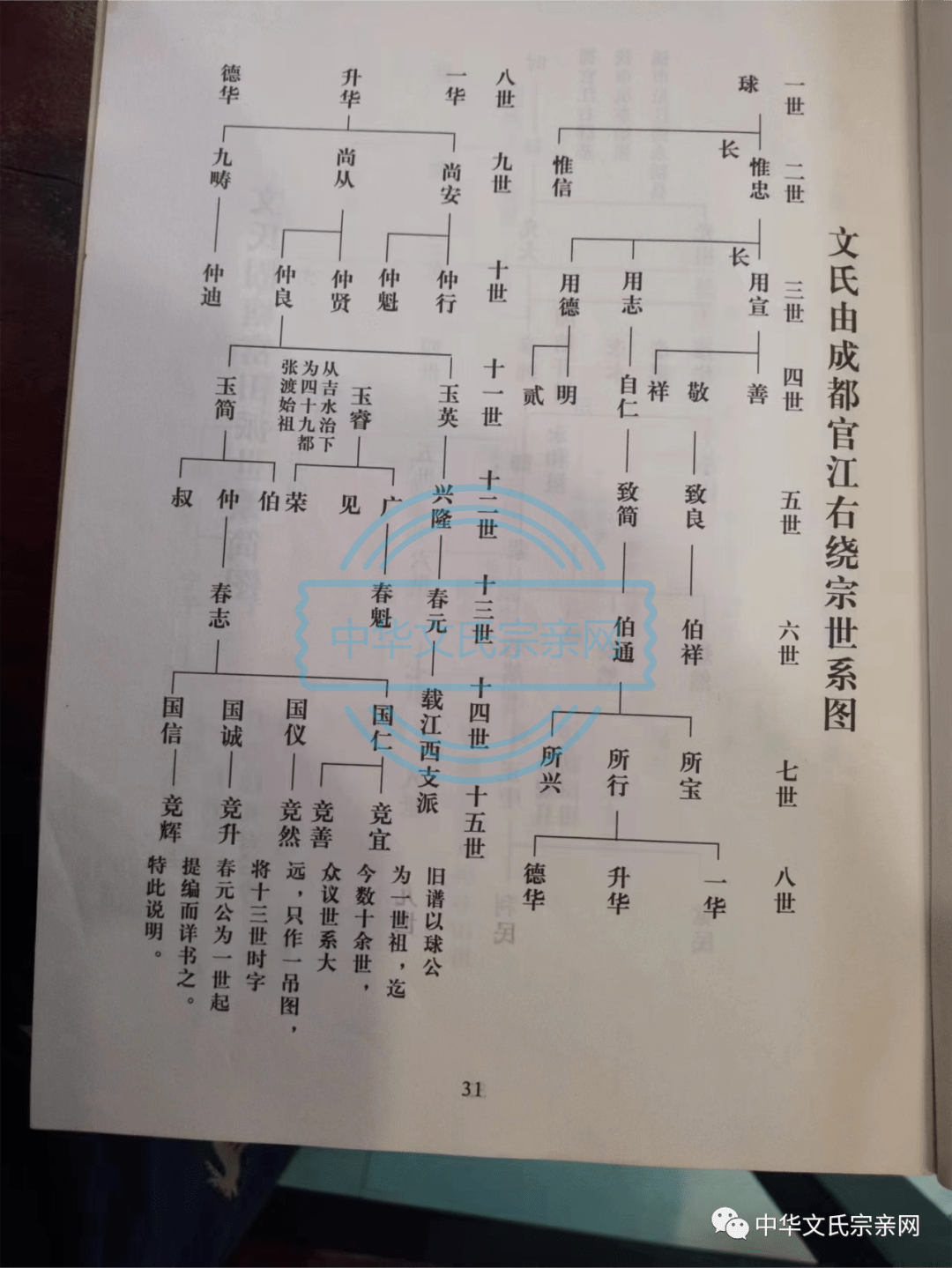 文氏三兄弟图片