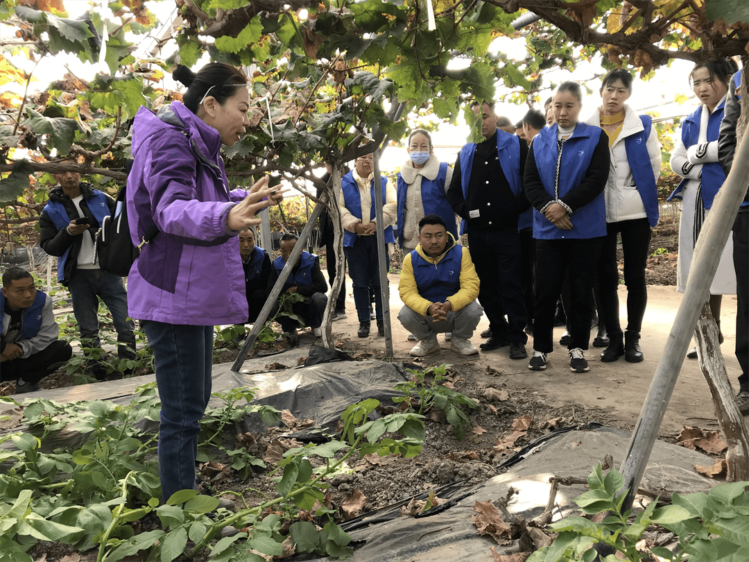 太和镇九龙村:充分发挥培训效能 打造乡村振兴主力军