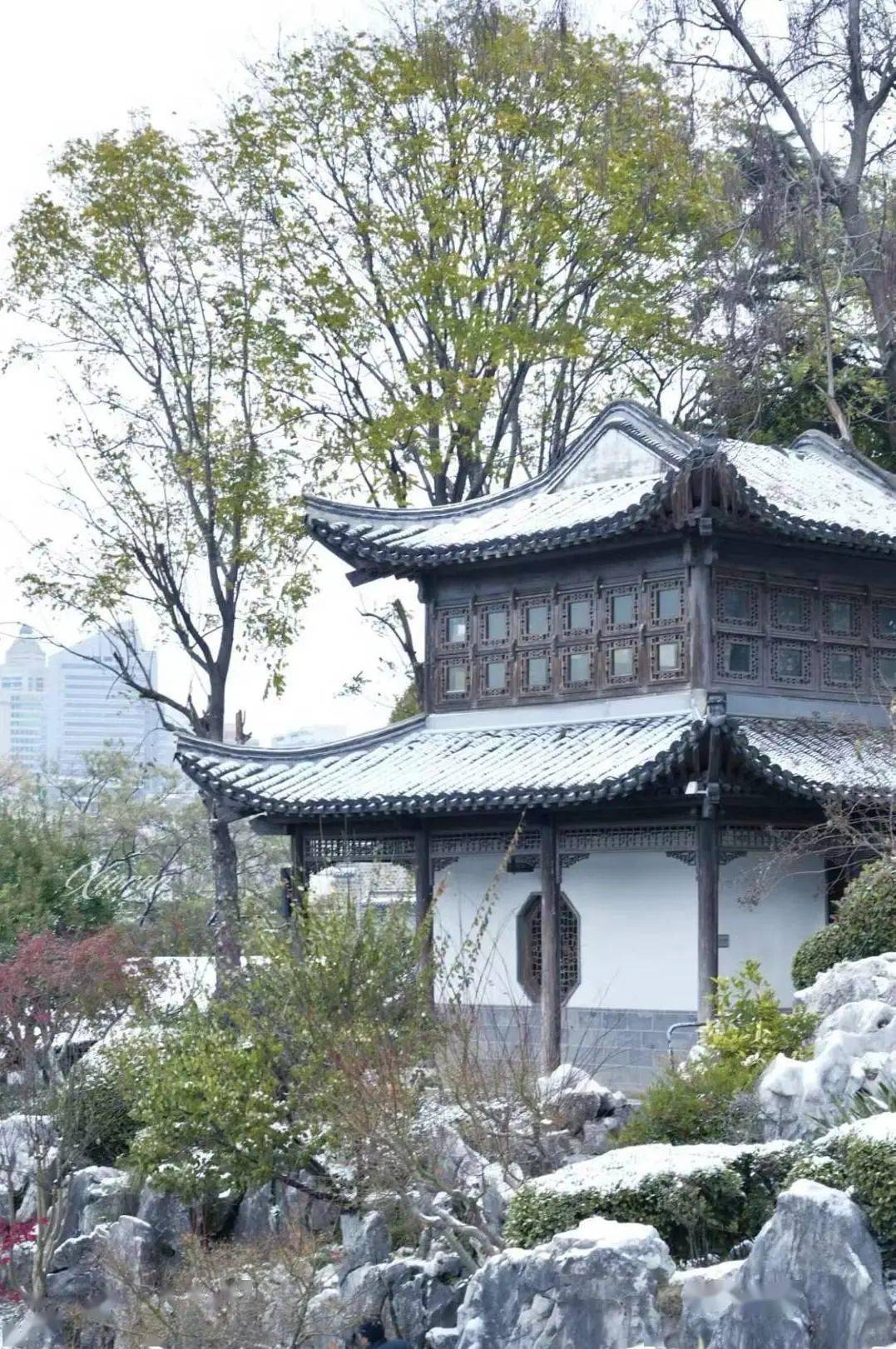 金陵愚园 | 雪天的回忆,一场百年前的往事_胡恩燮_孝子_南京