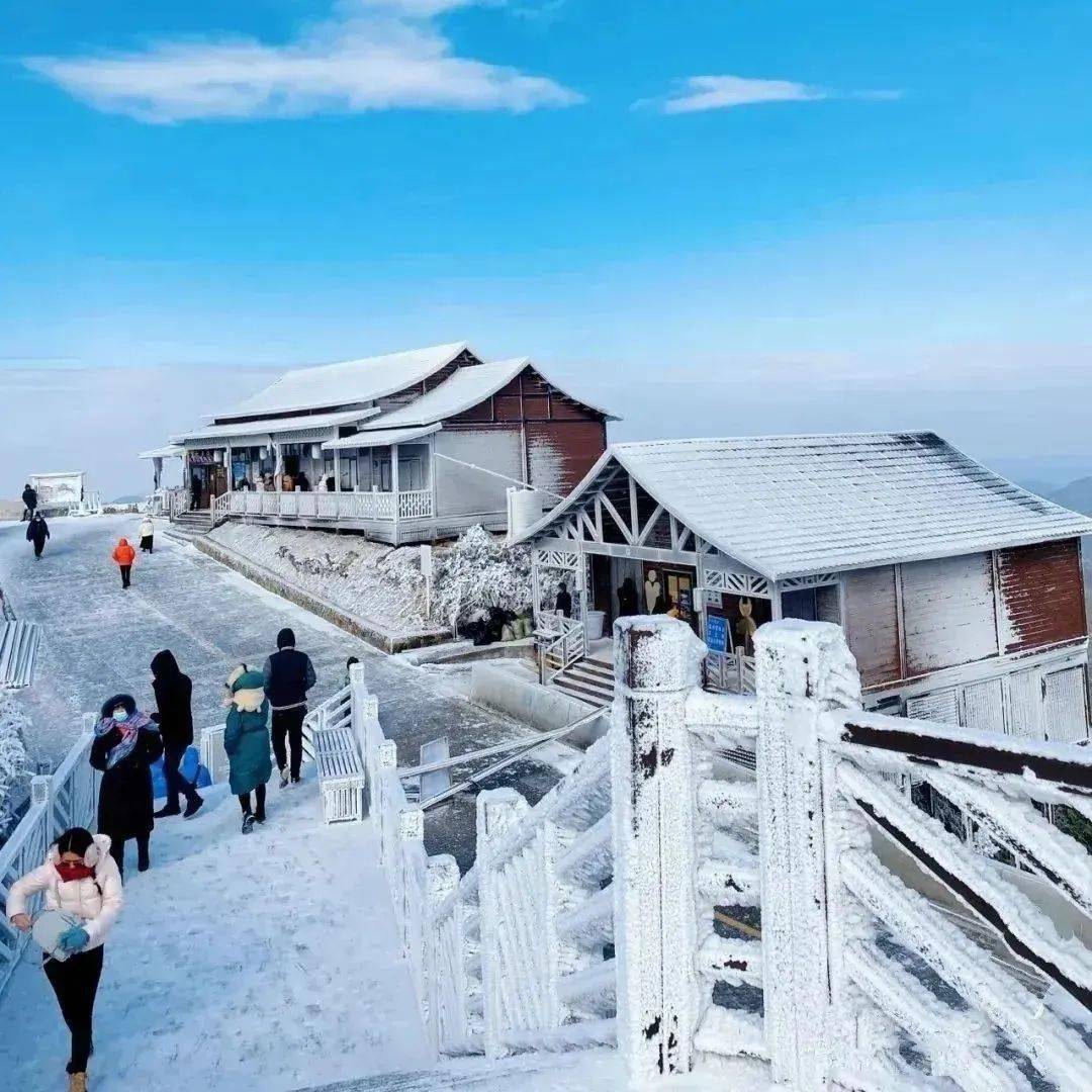 去云冰山看雪看雾凇!_蓝山_云海_永州