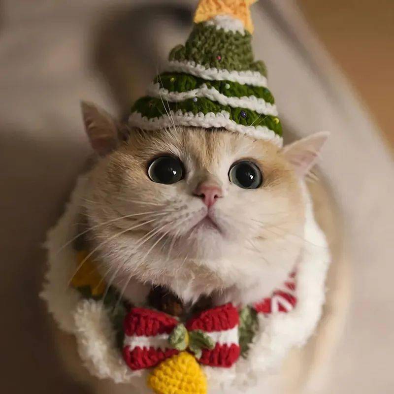 申请成为你的圣诞头像!