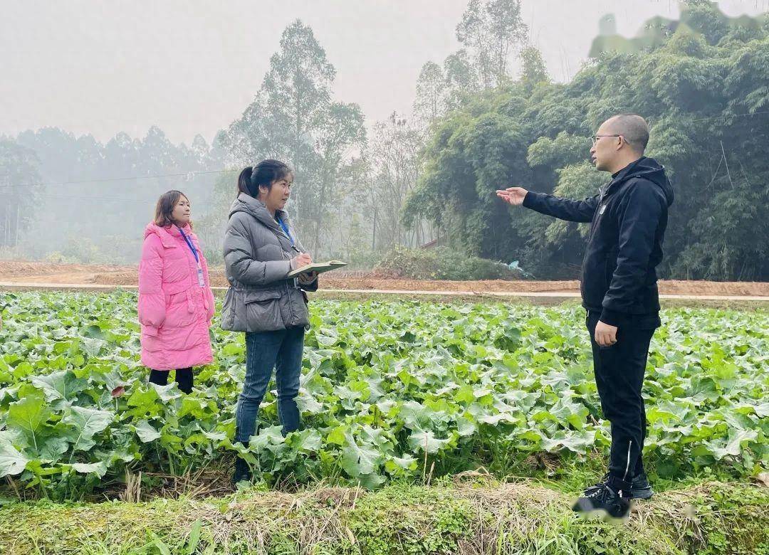 四川天府新区籍田街道:专项监督守牢耕地"红线"_保护_检查_群众