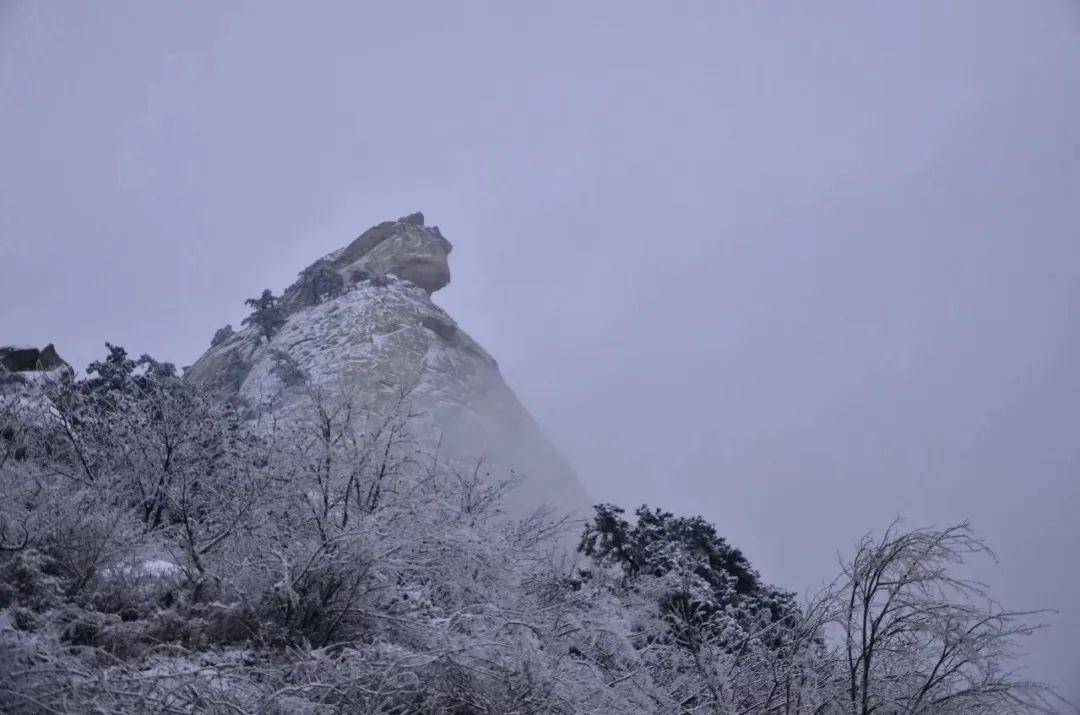 麻姑山雪景图片