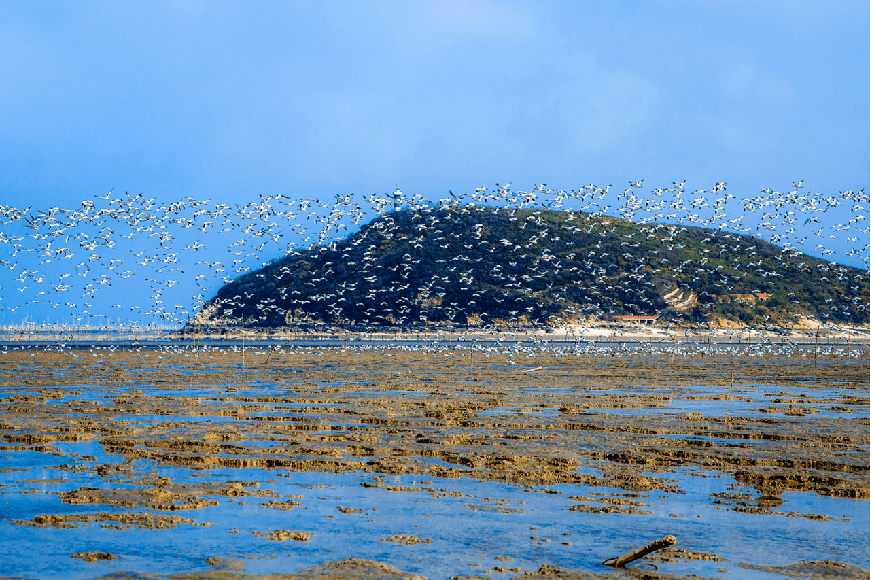 近海岛屿及其周边海域组成