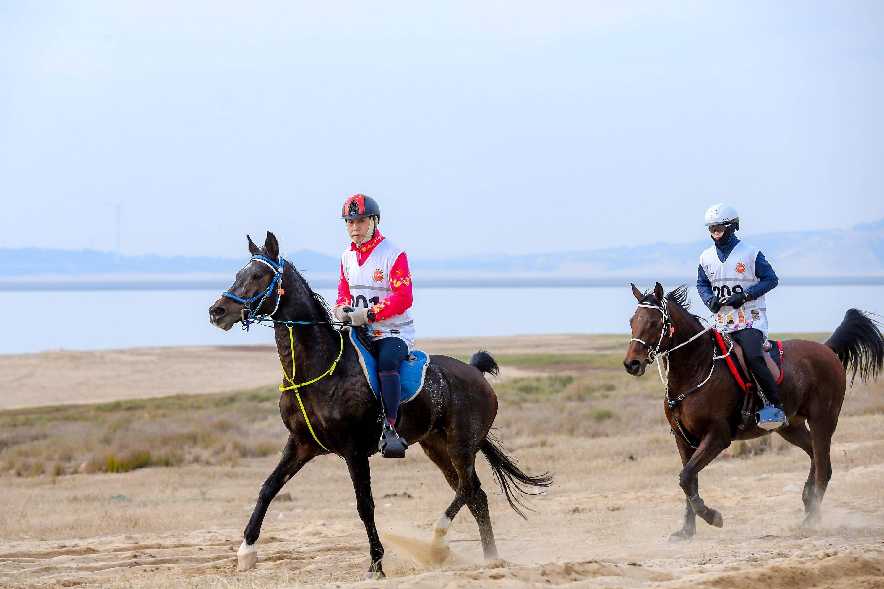 值得一提的是,本次大赛是由中国马术耐力赛首位三星级女骑手何奕萱