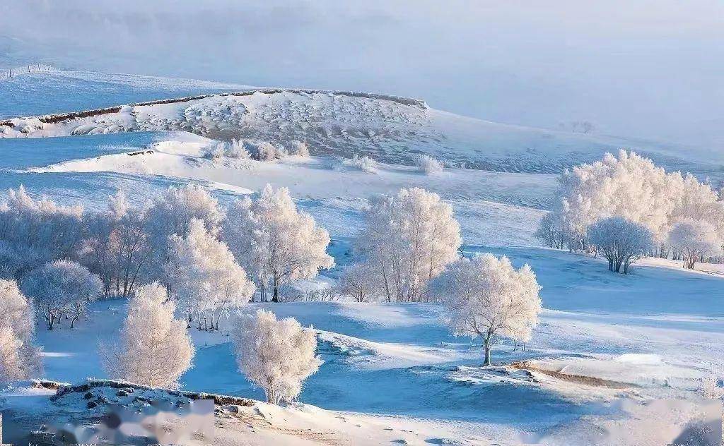 草原雪景描写图片