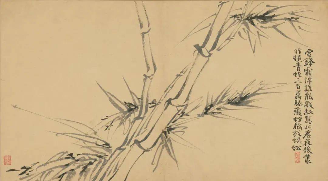 让郑板桥佩服得语无伦次的徐渭，竹子画得有多好！_水仙_墨竹_走狗 