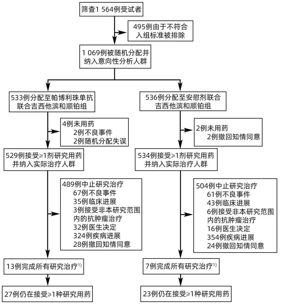 吉西他滨顺铂化疗方案图片