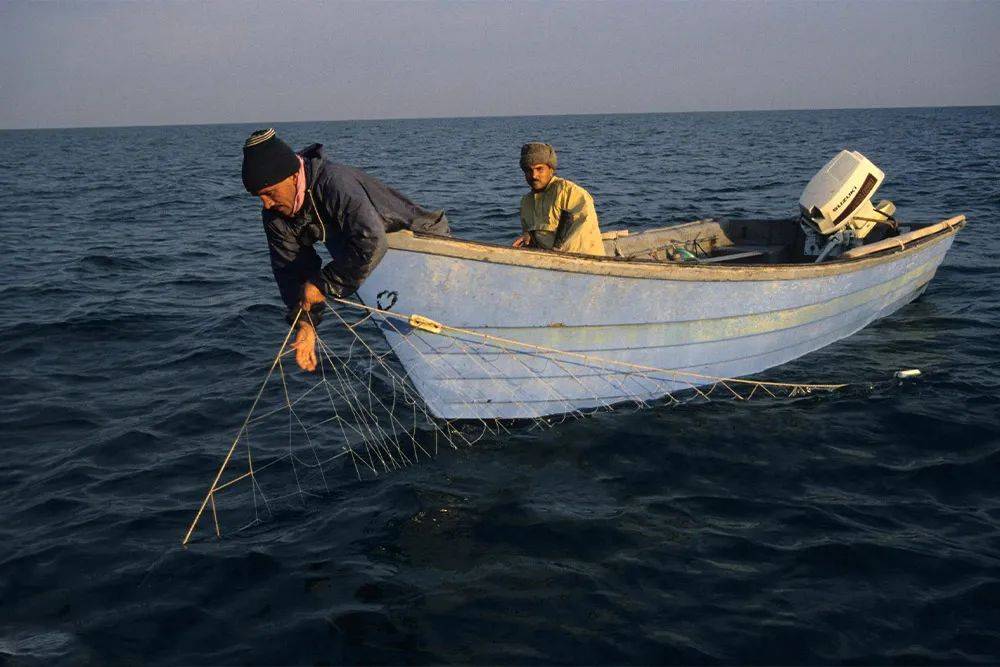 其中,鱘魚的故鄉主要來自世界上最大的內陸水域——裡海,傳統的魚子醬