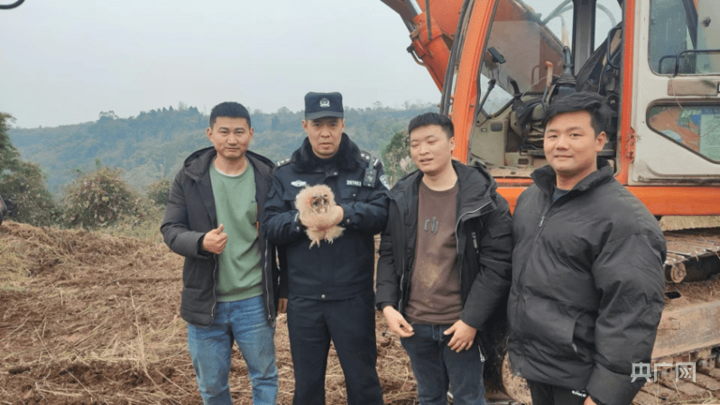 大足警方救助猴面貓頭鷹現場(大足區公安局供圖)當日,鐵山派出所在