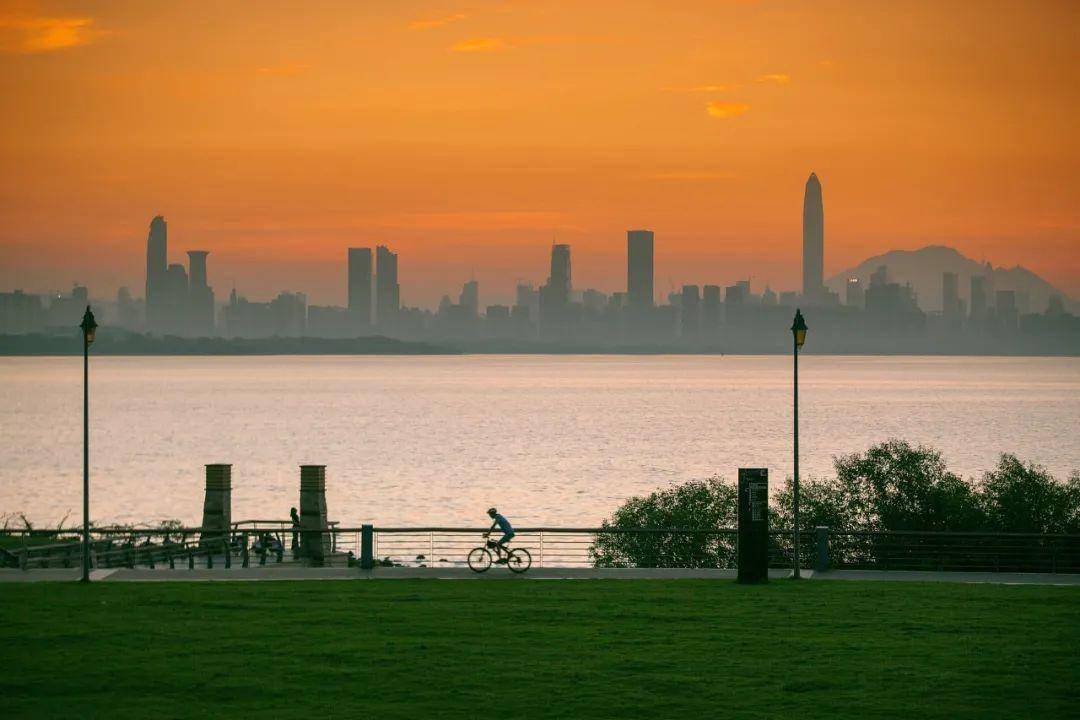 中國公園最多的一線城市---深圳_森林_濱海_溼地