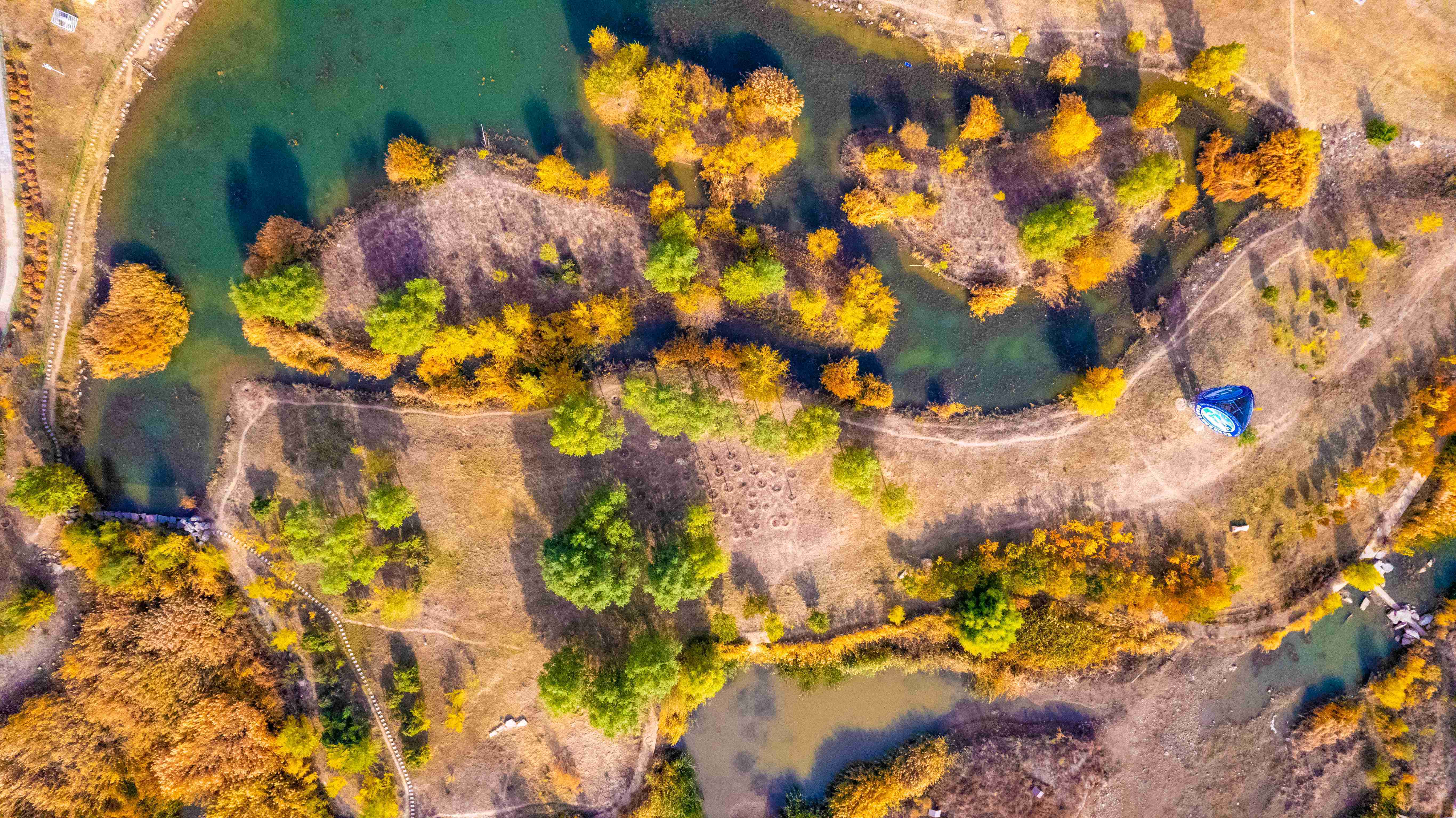 包头黄河湿地公园图片