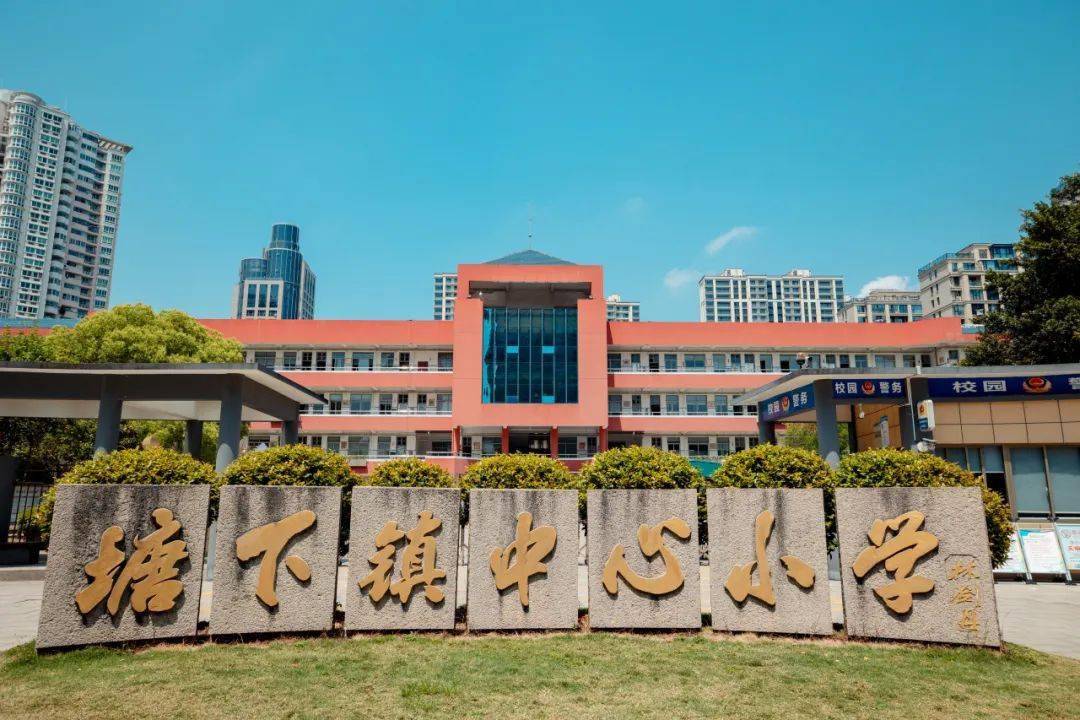 塘下镇中心小学图片