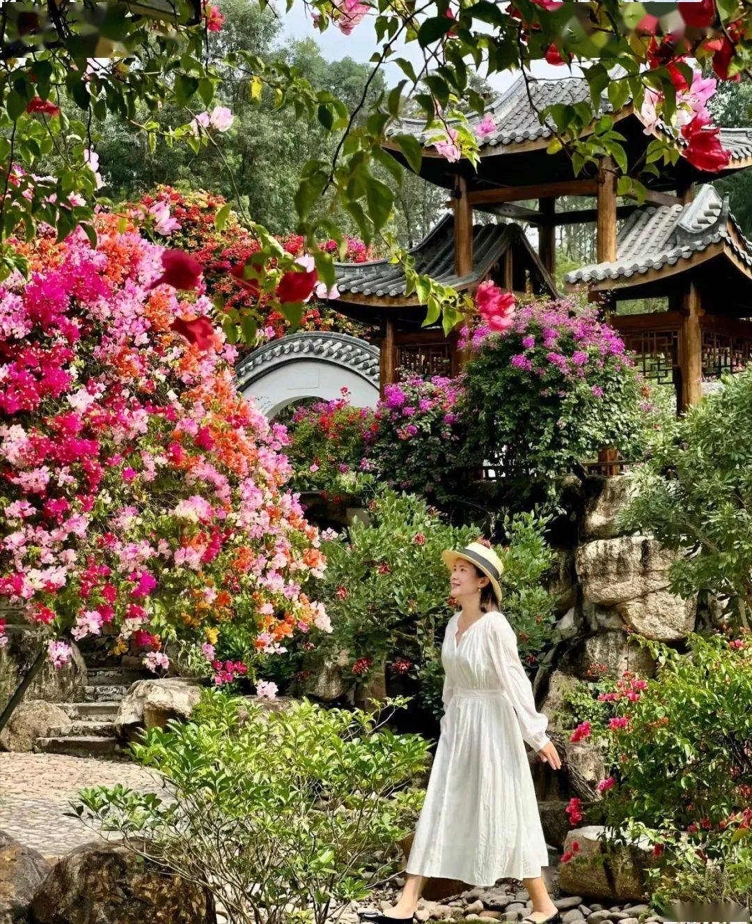 馬嶺觀花植物園盛大開園!超好玩!大型鹿島公園 松鼠王國 孔雀仙境 鸚