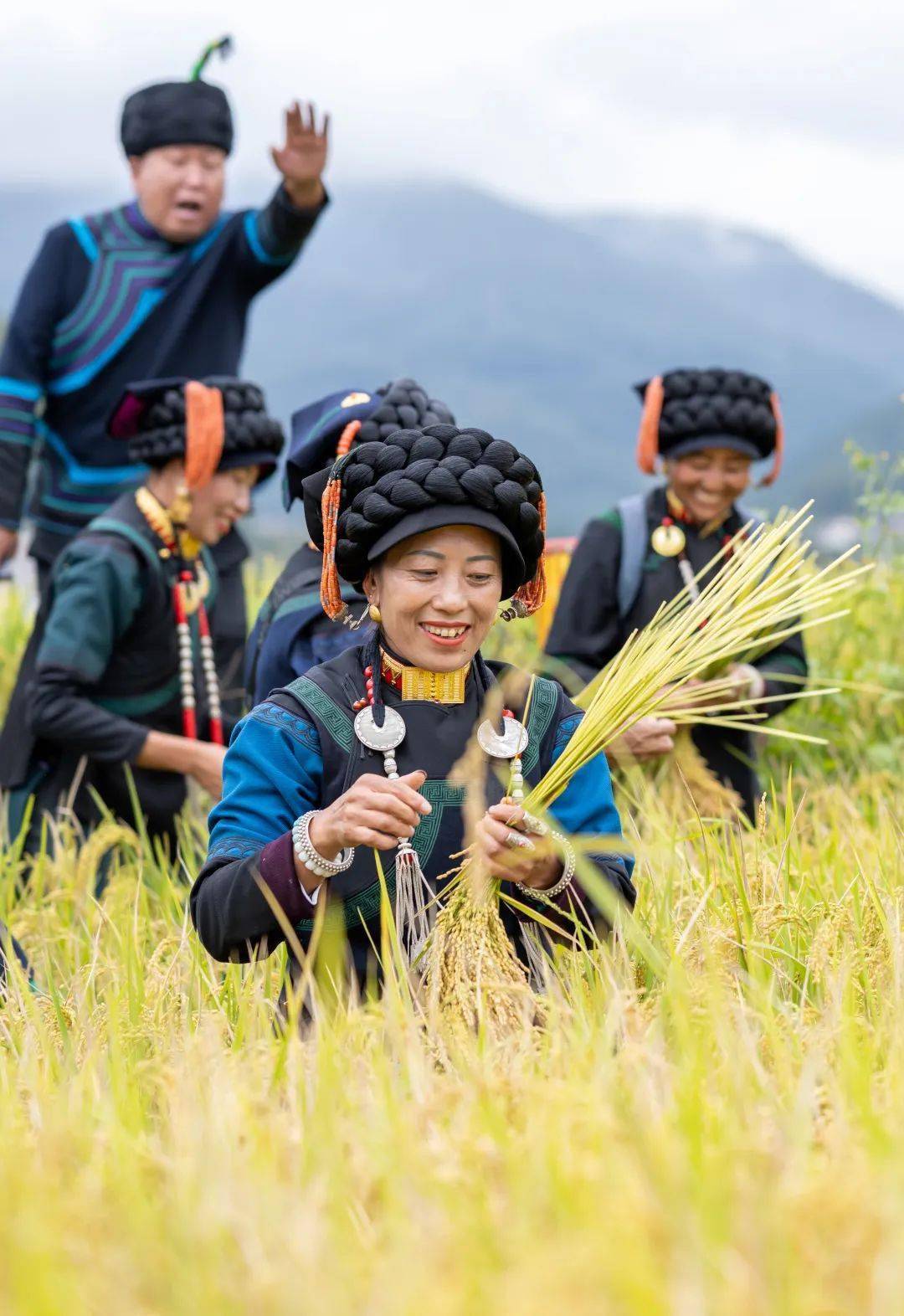 彝族的"时尚大片"来袭!难忘的越西"尝新米节"
