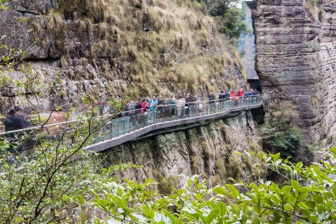 绝壁之上看风景!乐清新增一网红高空栈道