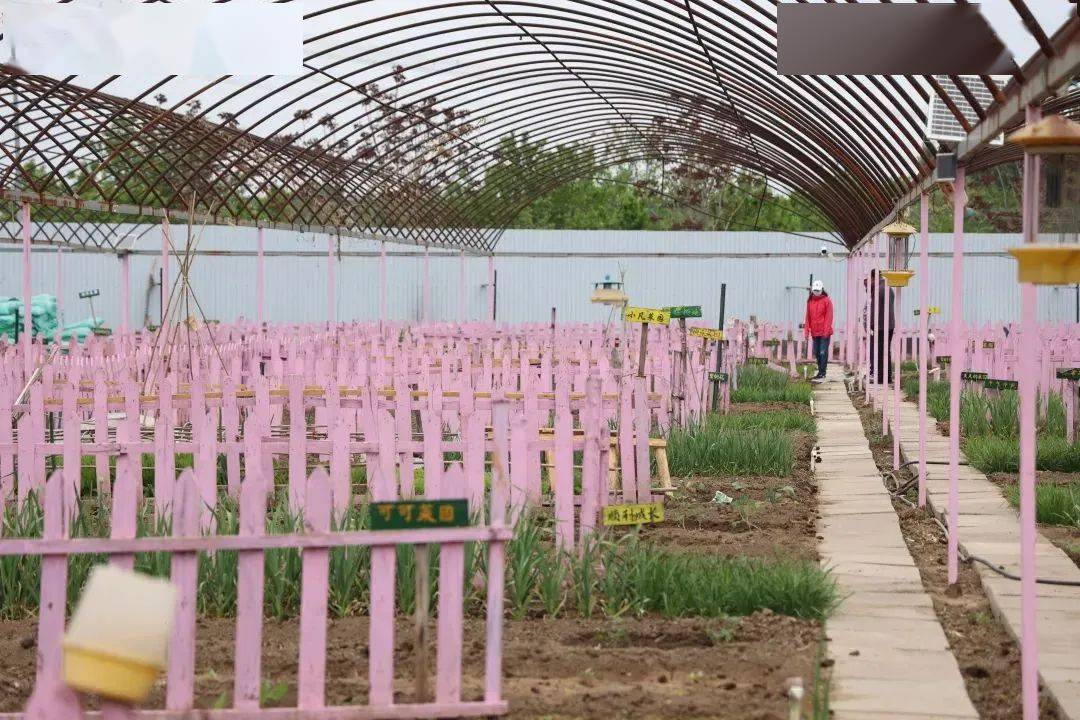 2023年度北京市生态农场名单公布,通州区6家单位上榜_种植_农业_发展