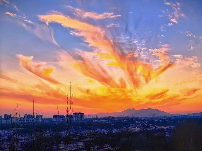 夕阳西沉后,橘红色的晚霞仿佛一只巨大的"火凤凰",怒而飞,其翼若垂天