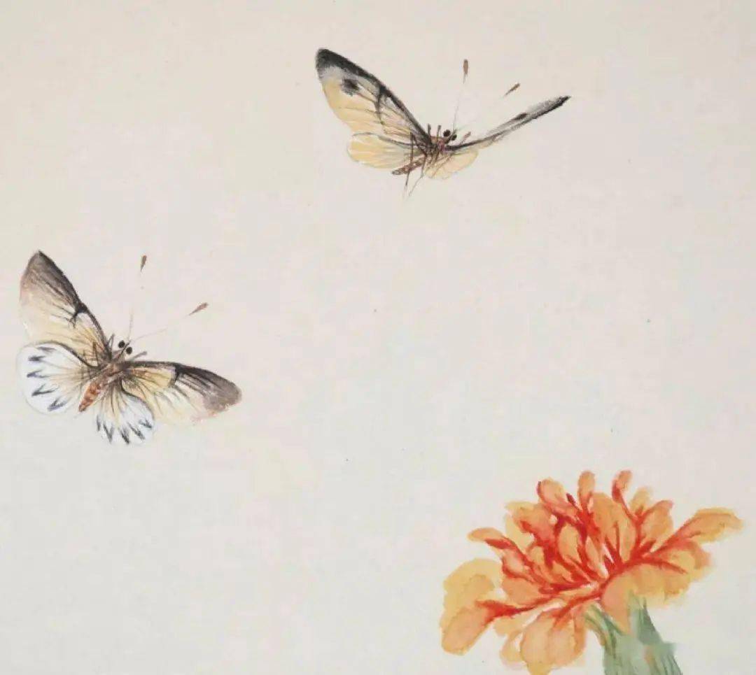 逐花之虫:蝶,蜂画法示范_蜜蜂_蝴蝶_马蜂