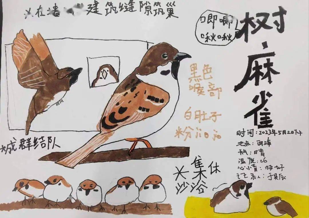 "童"心护湿地——自然笔记征集展播④丨从孩子笔下感受自然之美_青少