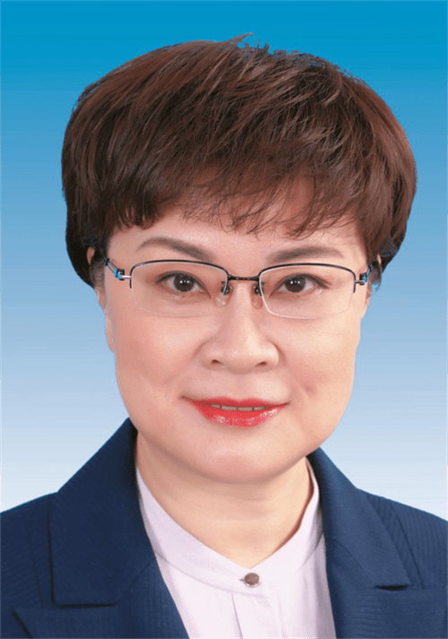 河北省省长,副省长,秘书长最新分工
