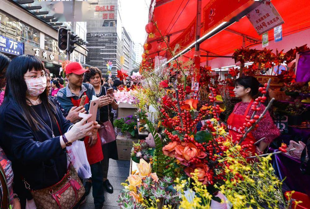 广州11区迎春花市地点时间公布_档位_天河区_传统