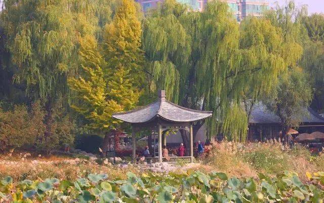 文明創建|營造宜居環境 繪就百姓美好生活新圖景_健身_公園_改造