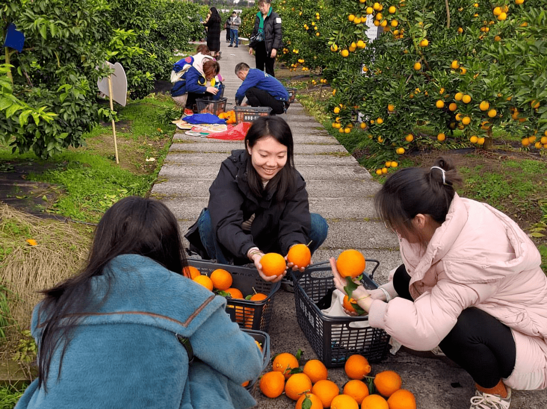 四季香生態果園簡介:四季香生態果園位於重慶市璧山區七塘鎮四合村1組