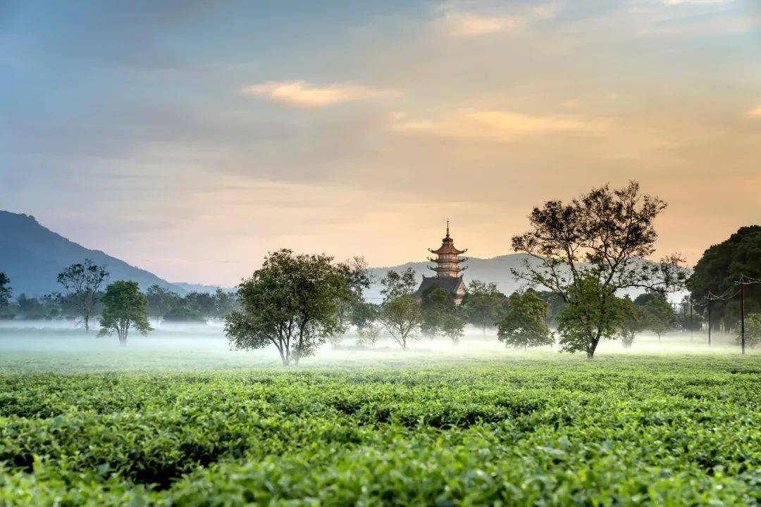 一年將過,願你歲月無波瀾,只生歡喜不生煩_生活_時光_故人