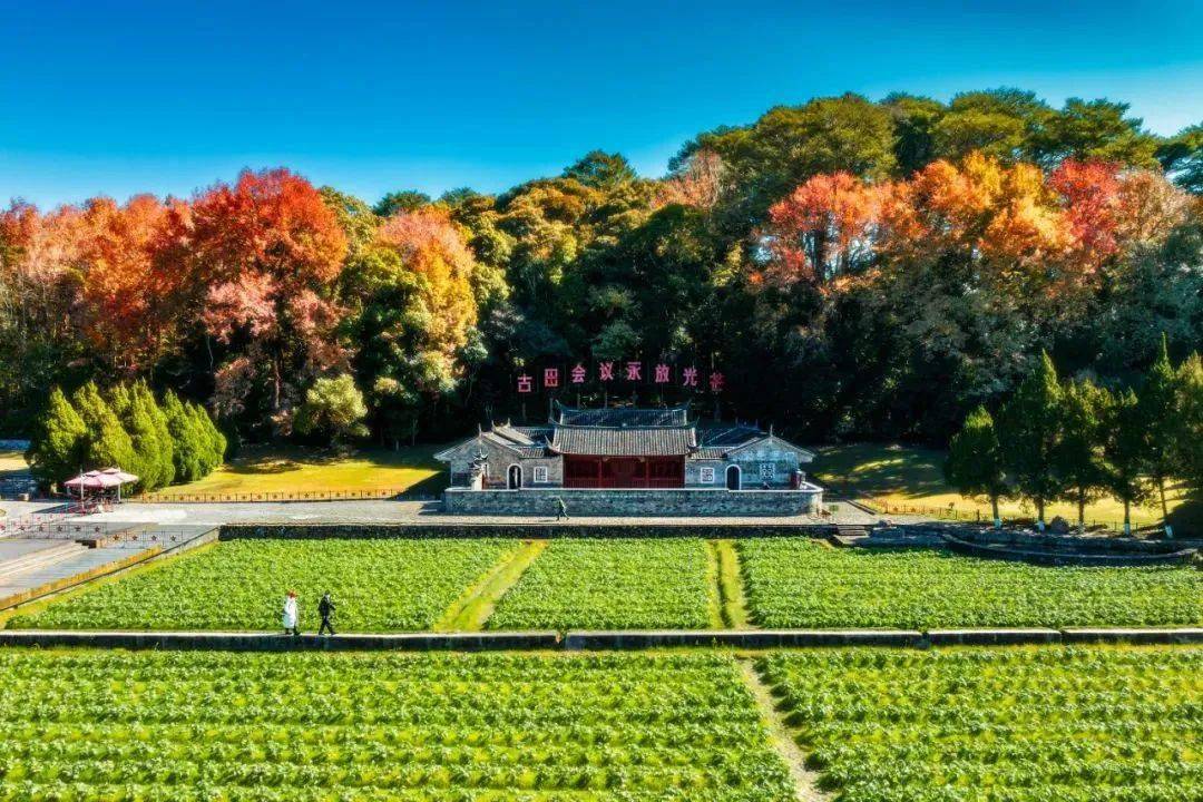 紅軍初創時期我們黨的初心嚴格入黨條件紅軍入黨志願表土地革命時期